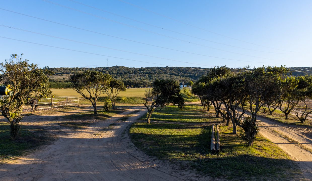DJI_0564-HDR