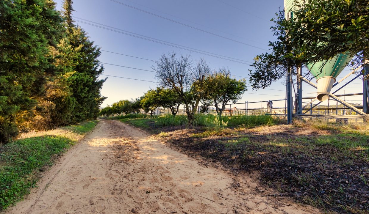 _R6_2302-Edit